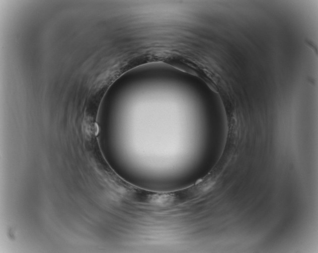X0000099490135200805151416