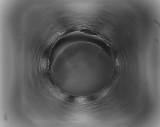 X0000099490139200805151416
