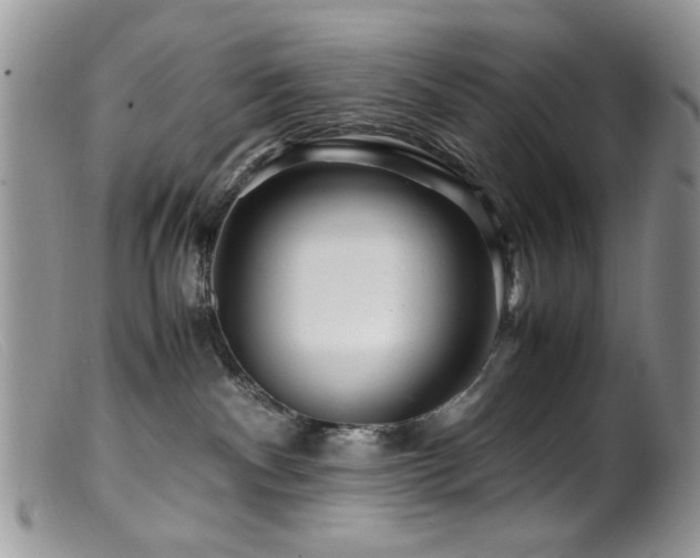 X0000099490140200805151416