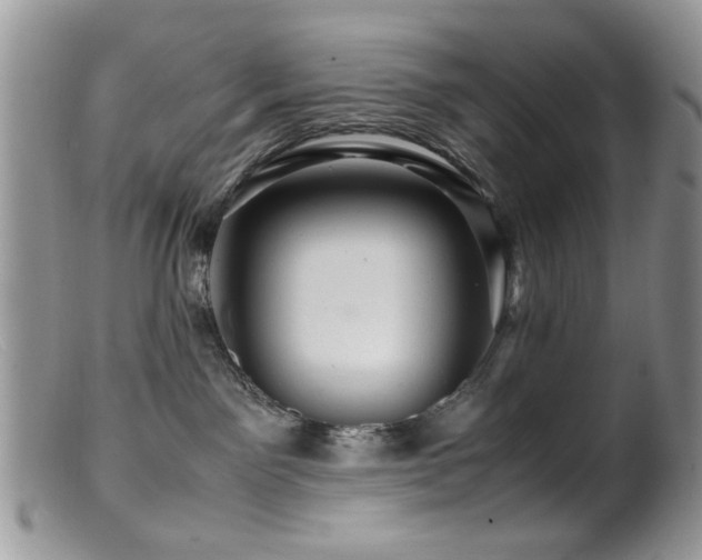 X0000099490141200805151416