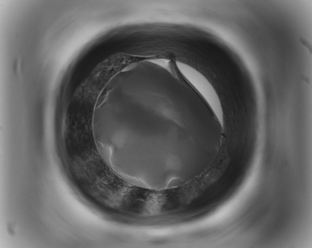 X0000099490143200805151416