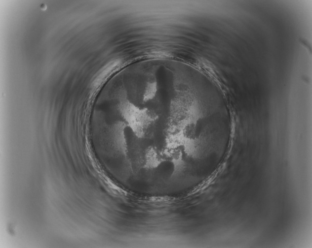 X0000099490145200805151415