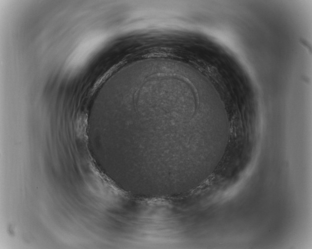 X0000099490146200805151415