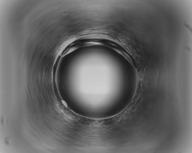 X0000099490148200805151415