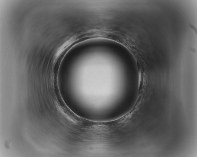 X0000099490150200805151415