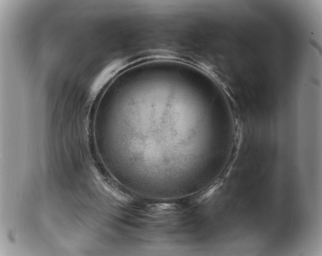 X0000099490151200805151415