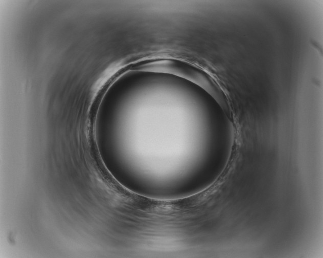 X0000099490152200805151415