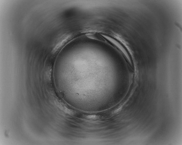 X0000099490153200805151415