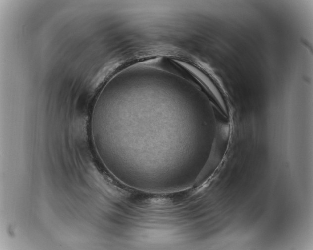 X0000099490154200805151415