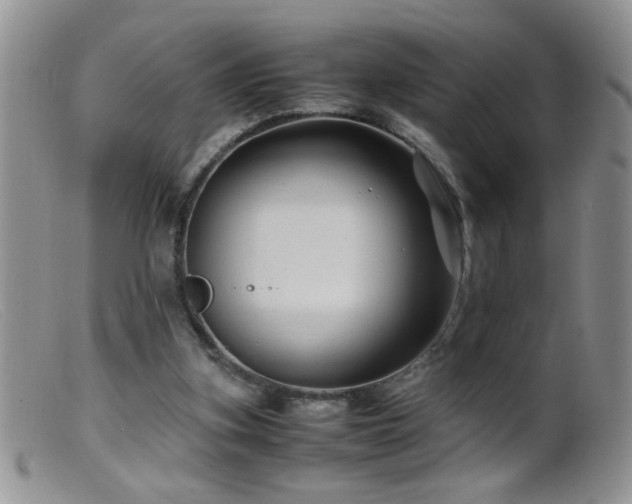 X0000099490155200805151415