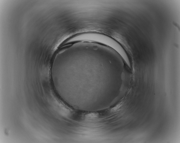 X0000099490156200805151415