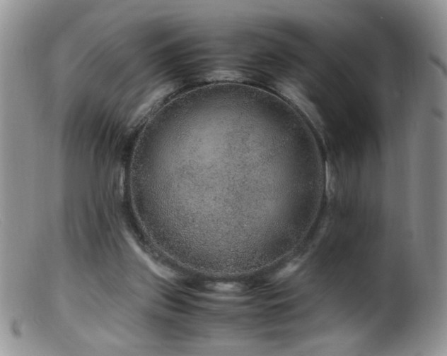 X0000099490157200805151415