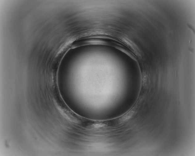 X0000099490158200805151415
