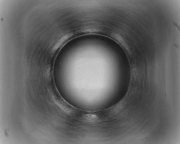 X0000099490159200805151415