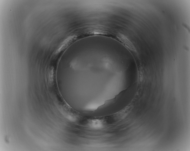 X0000099490163200805151415