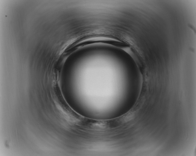X0000099490164200805151415