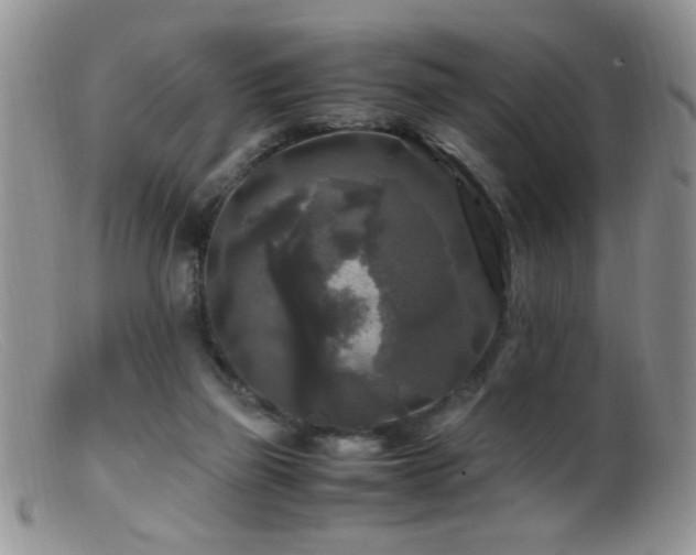 X0000099490165200805151415