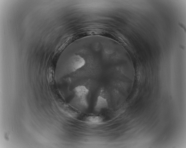 X0000099490169200805151416
