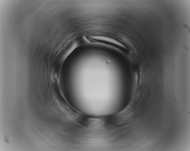 X0000099490170200805151416