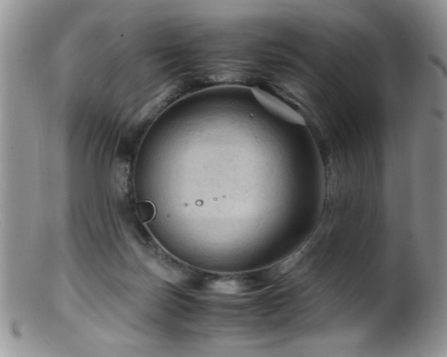 X0000099490171200805151416