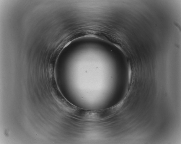 X0000099490174200805151416