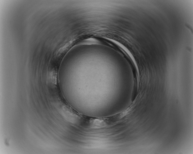 X0000099490180200805151416