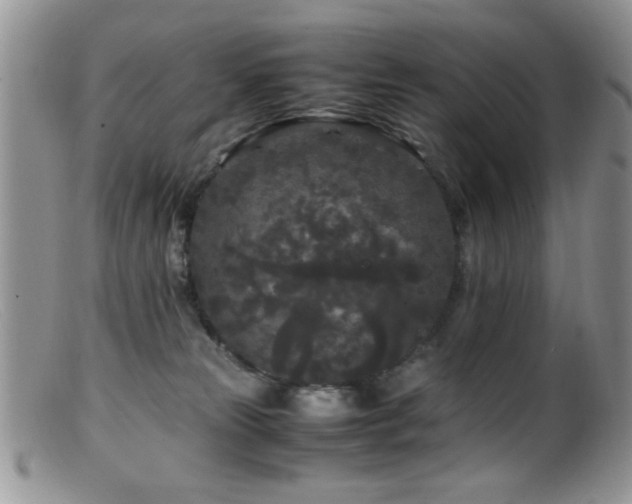 X0000099490181200805151416