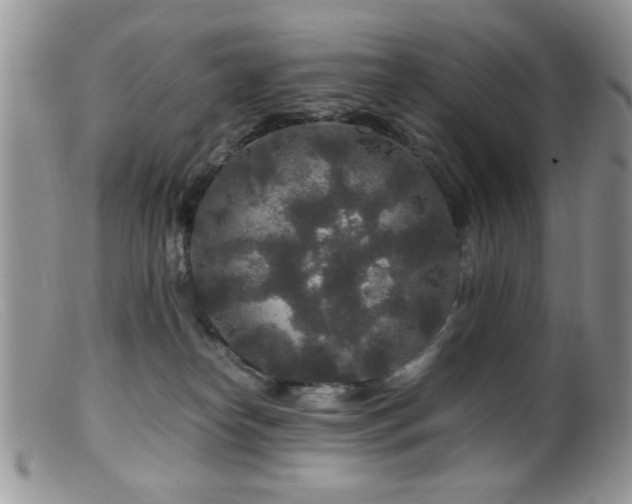 X0000099490182200805151416