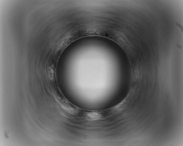 X0000099490183200805151416
