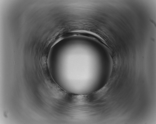 X0000099490184200805151416