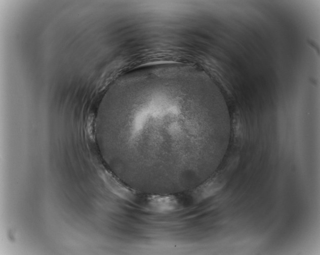 X0000099490185200805151416