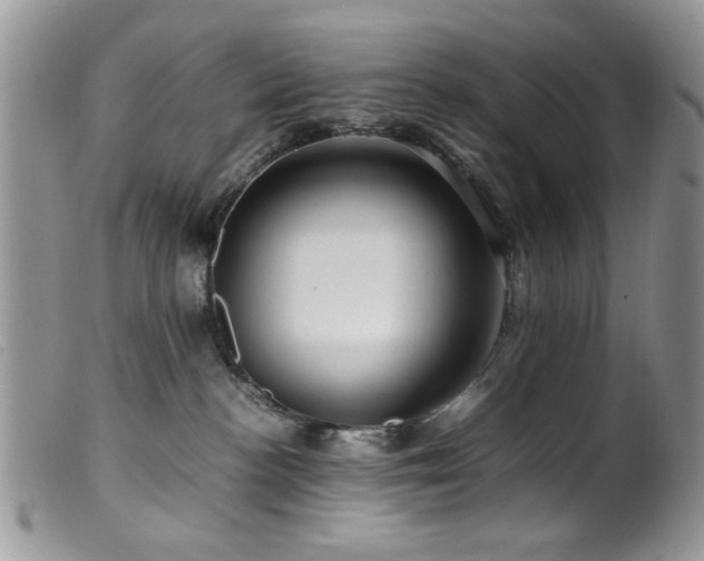 X0000099490188200805151416
