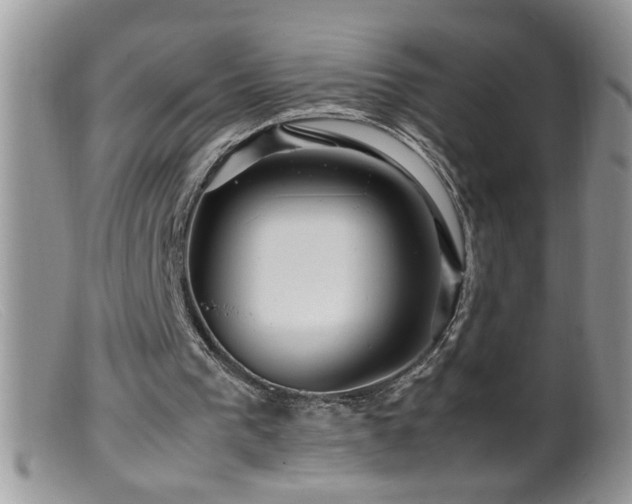 X0000099490193200805151415