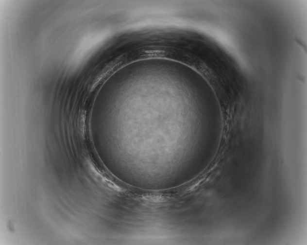 X0000099490194200805151415