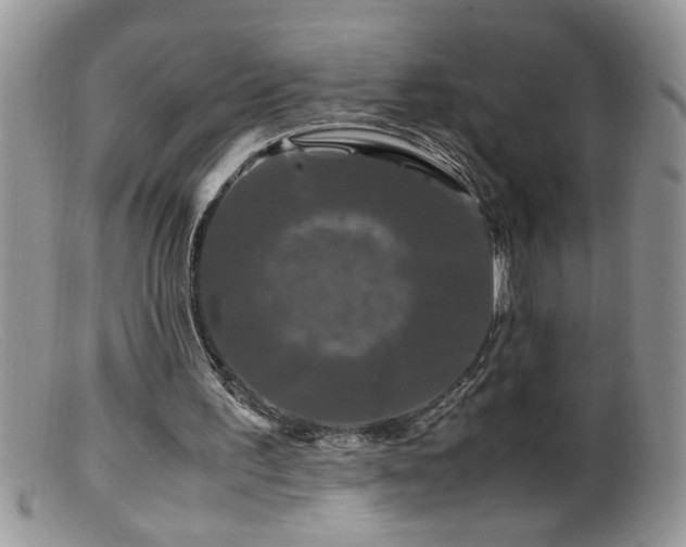 X0000099490195200805151415