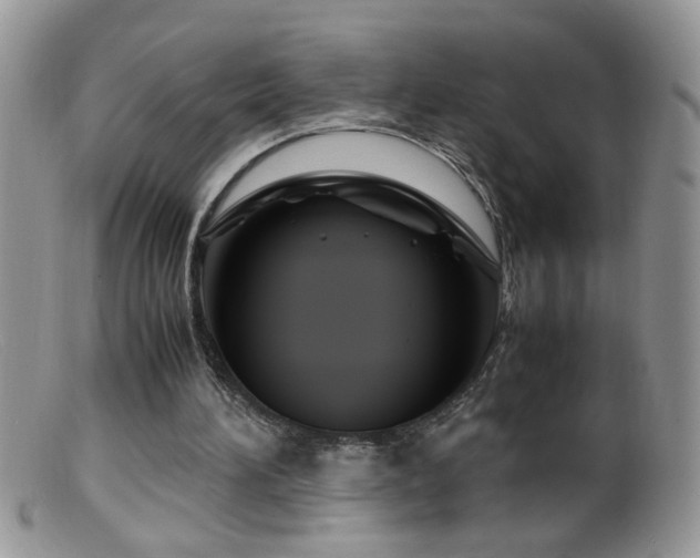X0000099490196200805151415