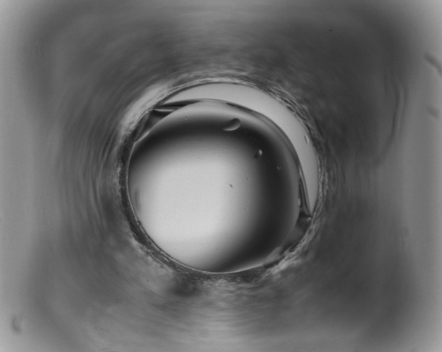 X0000099490197200805151415