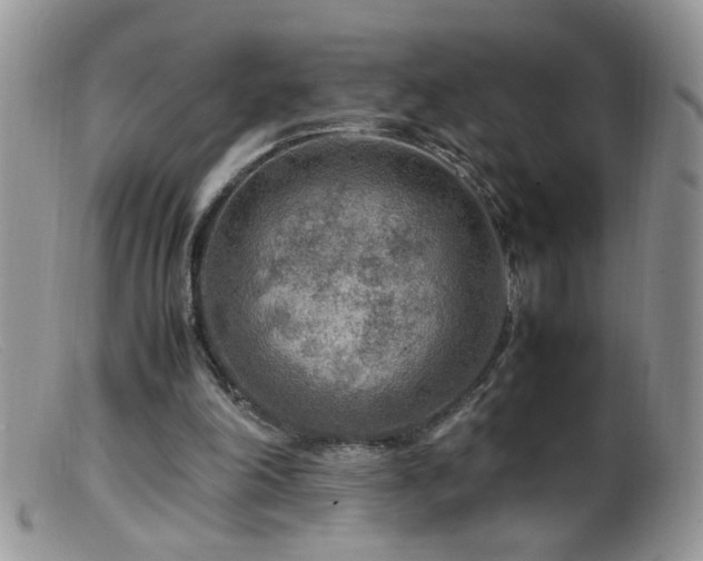 X0000099490198200805151415