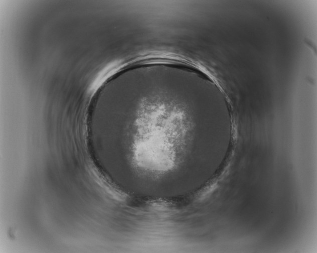X0000099490199200805151415