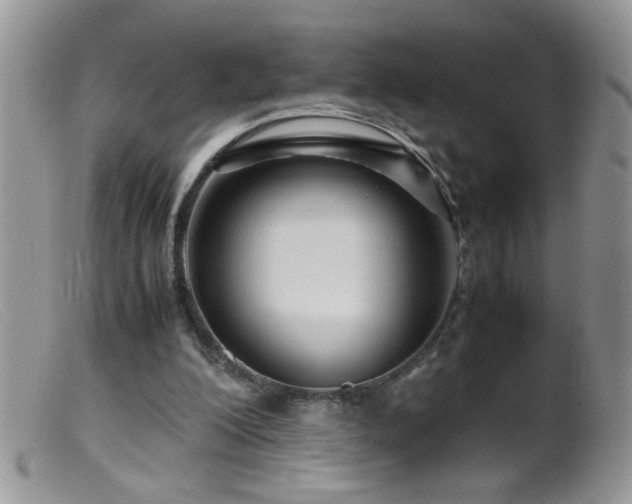 X0000099490200200805151415