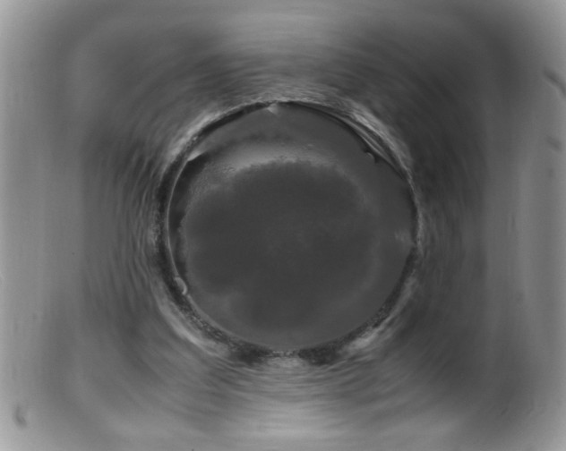 X0000099490203200805151415