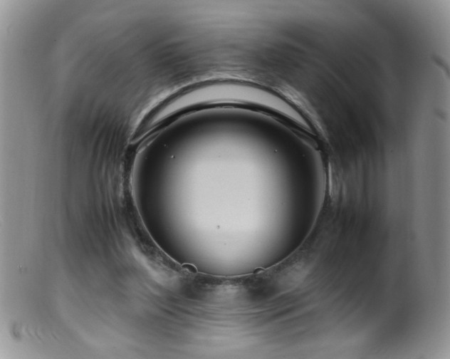 X0000099490204200805151415