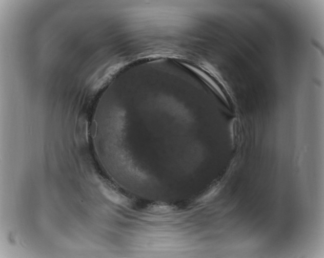 X0000099490205200805151415