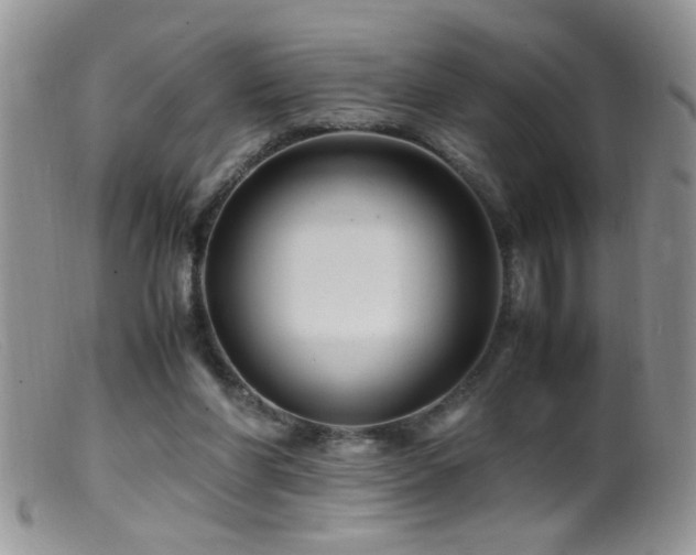 X0000099490206200805151415