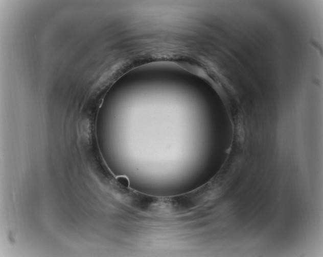X0000099490211200805151415