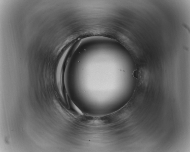 X0000099490212200805151415