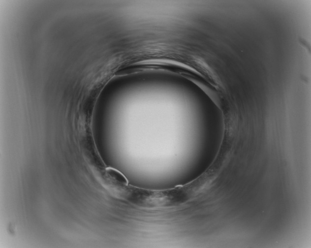 X0000099490213200805151415