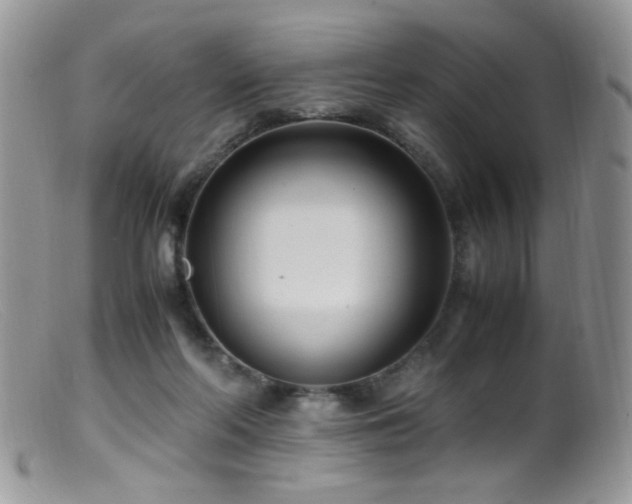 X0000099490214200805151415
