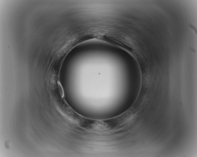 X0000099490215200805151415