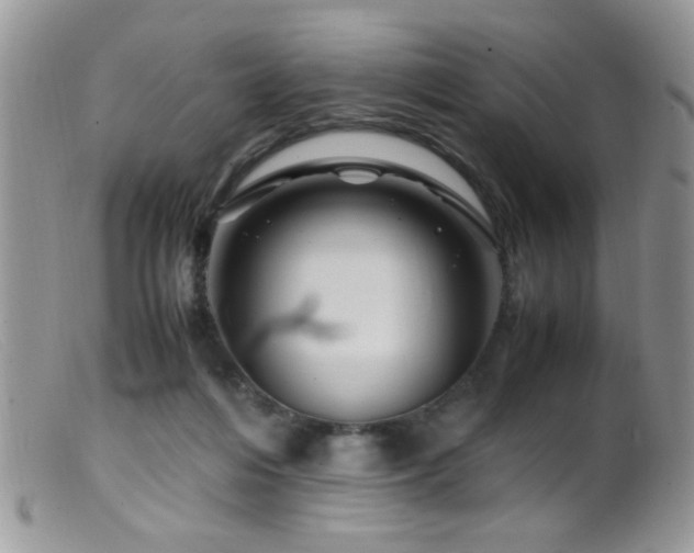 X0000099490216200805151415